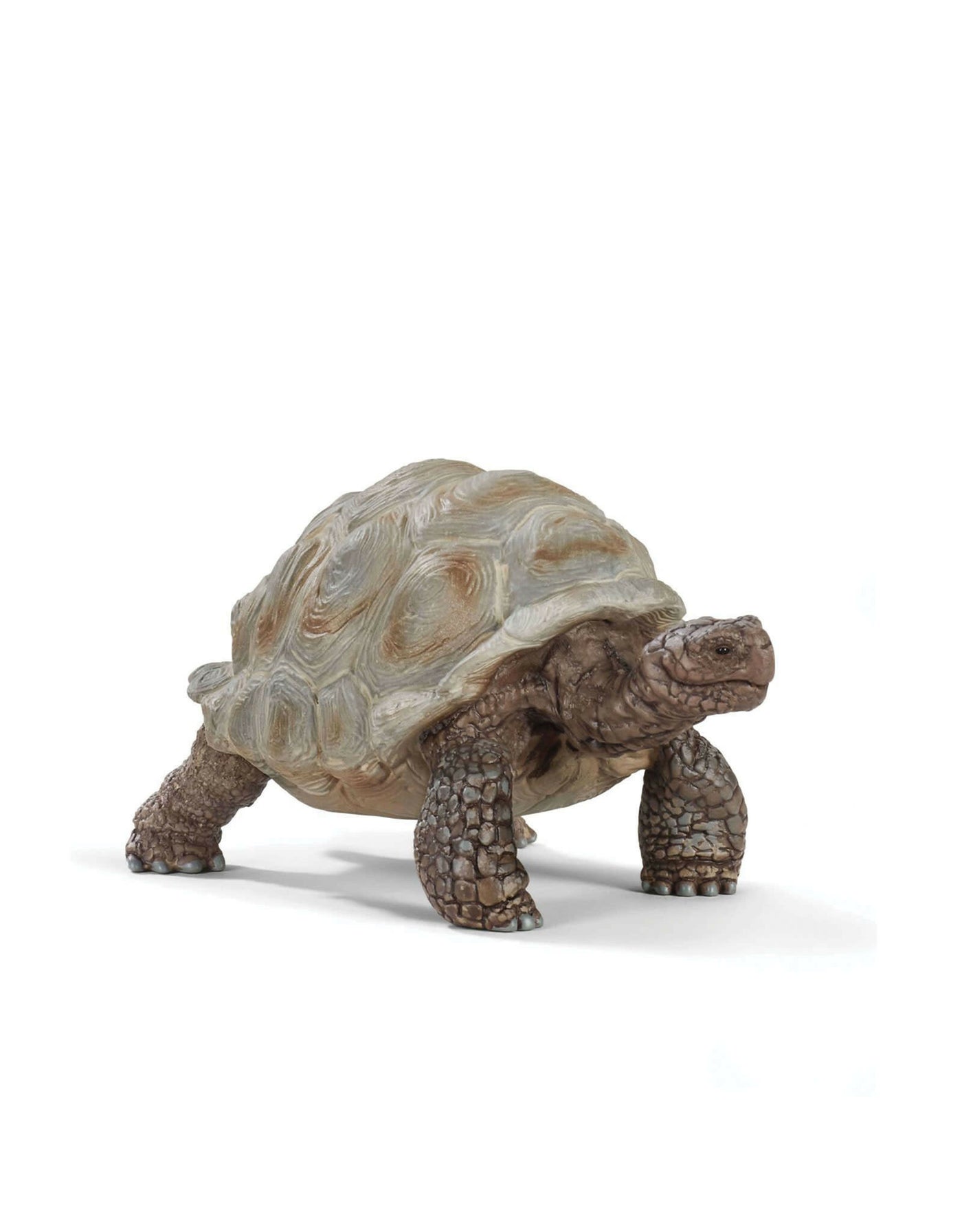 Schleich Giant Tortoise 14824