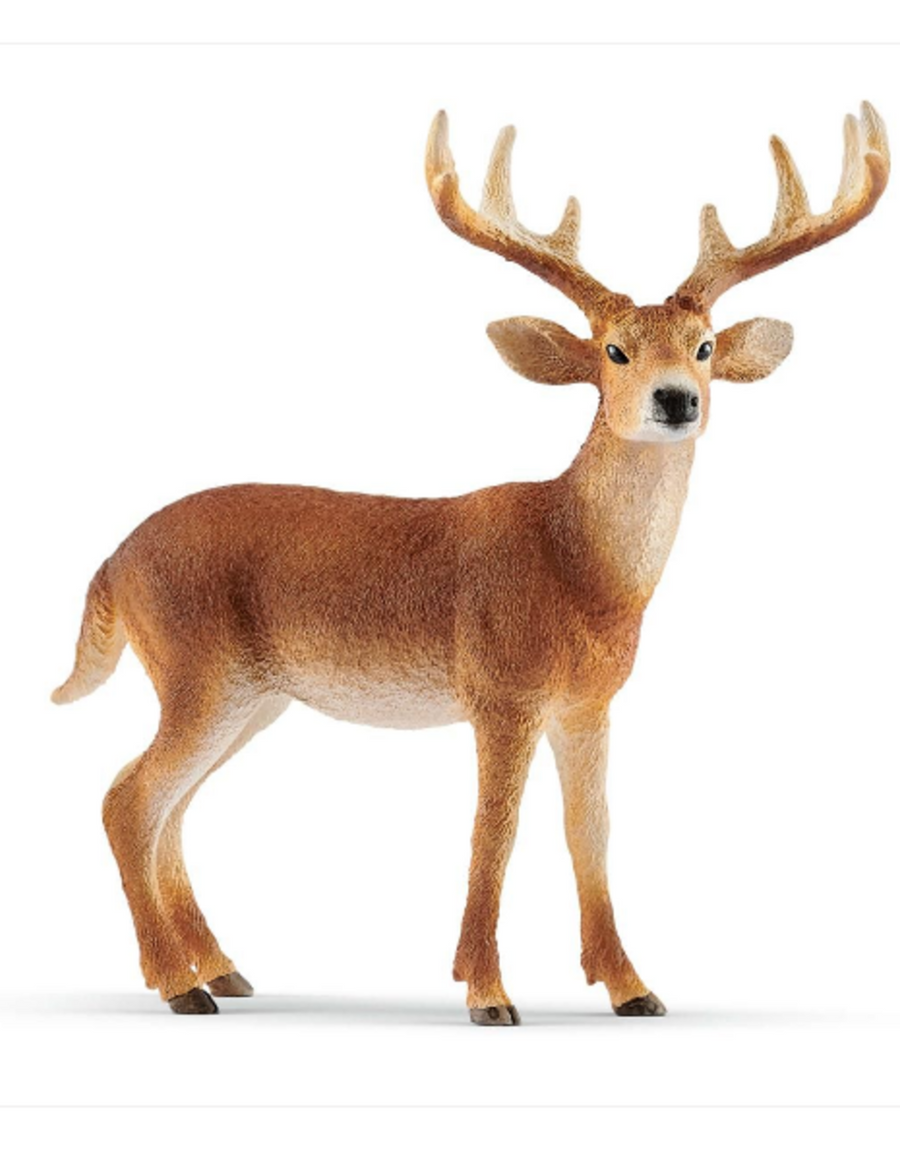 Schleich Wild Life White Tailed Buck 14818