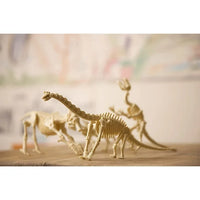 4M Dig A Brachiosaurus