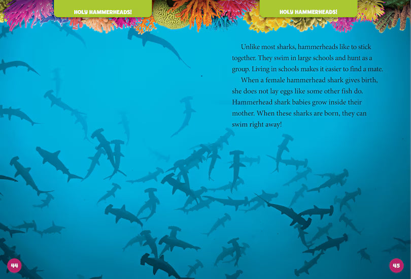 National Geographic 5 Minute Shark Stories
