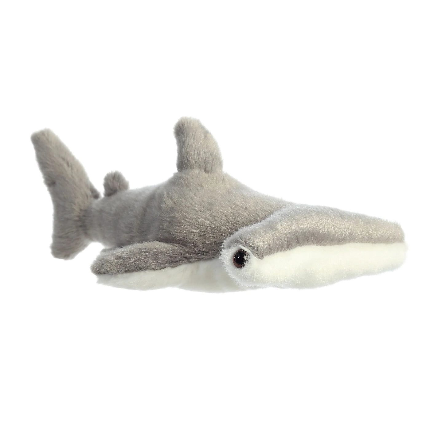 Aurora Hamlet Shark 8"