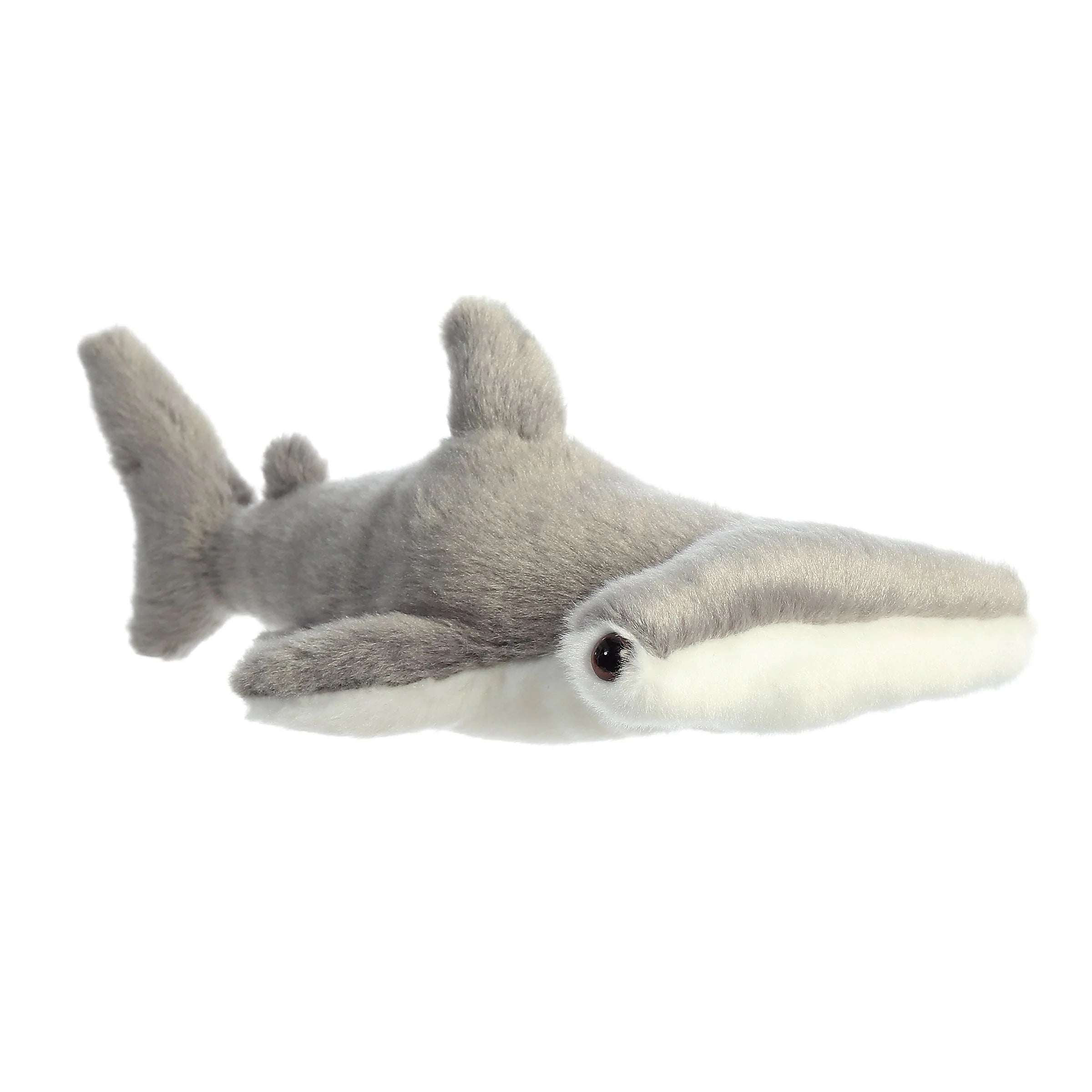 Aurora Hamlet Shark 8"