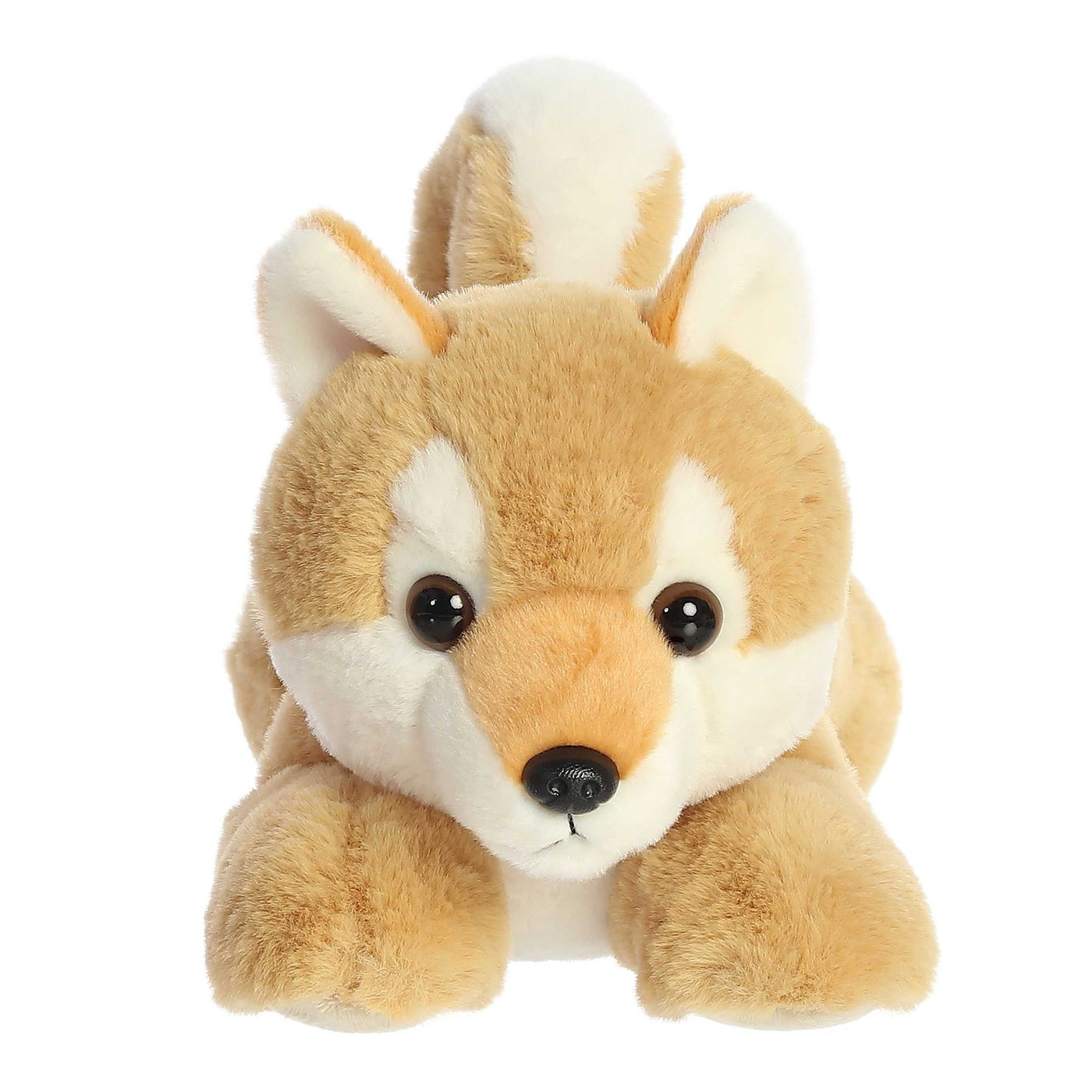 Aurura Flopsie Shiba Inu 12"