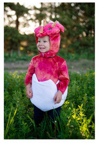 Great Pretendres Baby Dino Triceratops Costume 12-24m