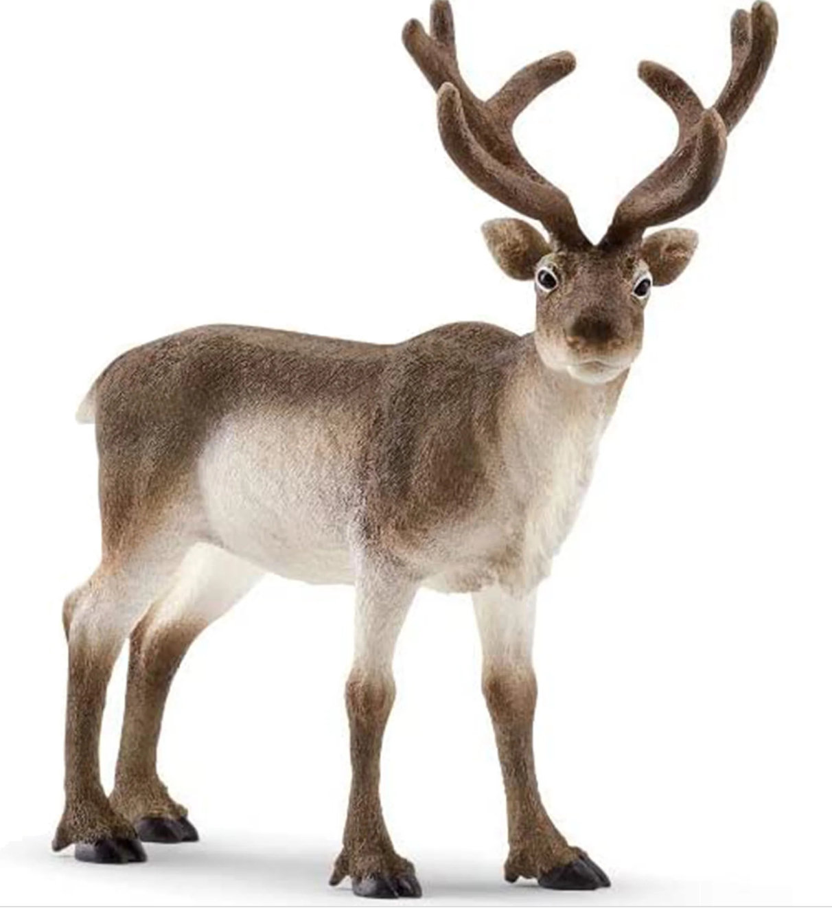 Schleich Wild Life Reindeer