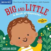 Indestructibles Big And Little Book Of Opposites