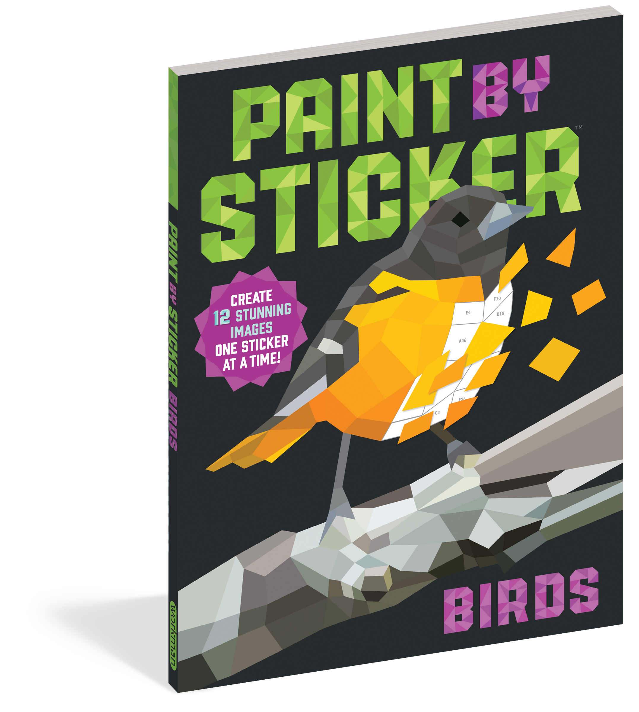 Paint By Stickers Birds