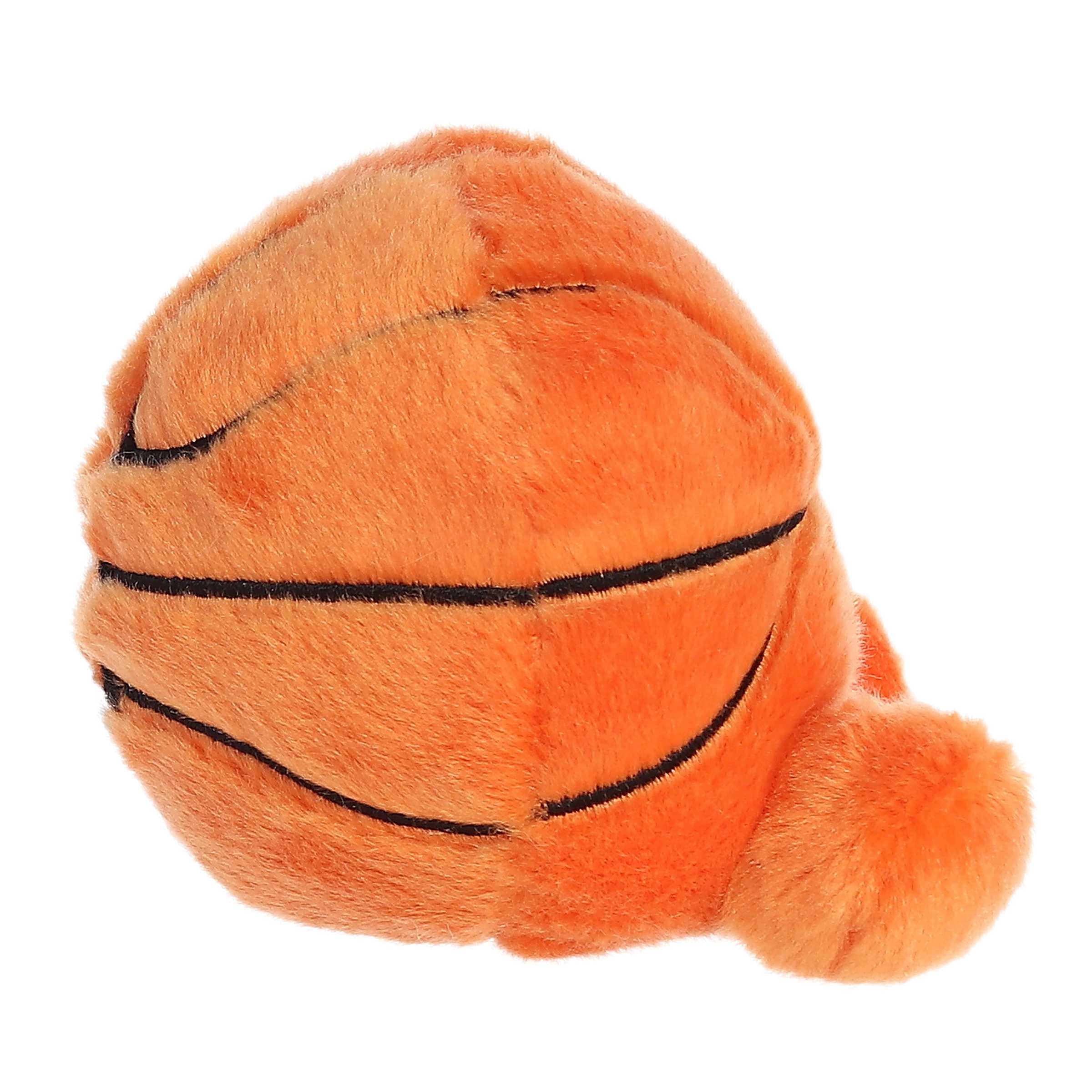 Palm Pals Hoops Basketball