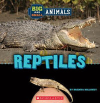 Big and Small Animals Reptiles