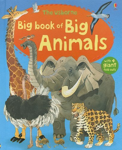 Usborne Big Book of Animals