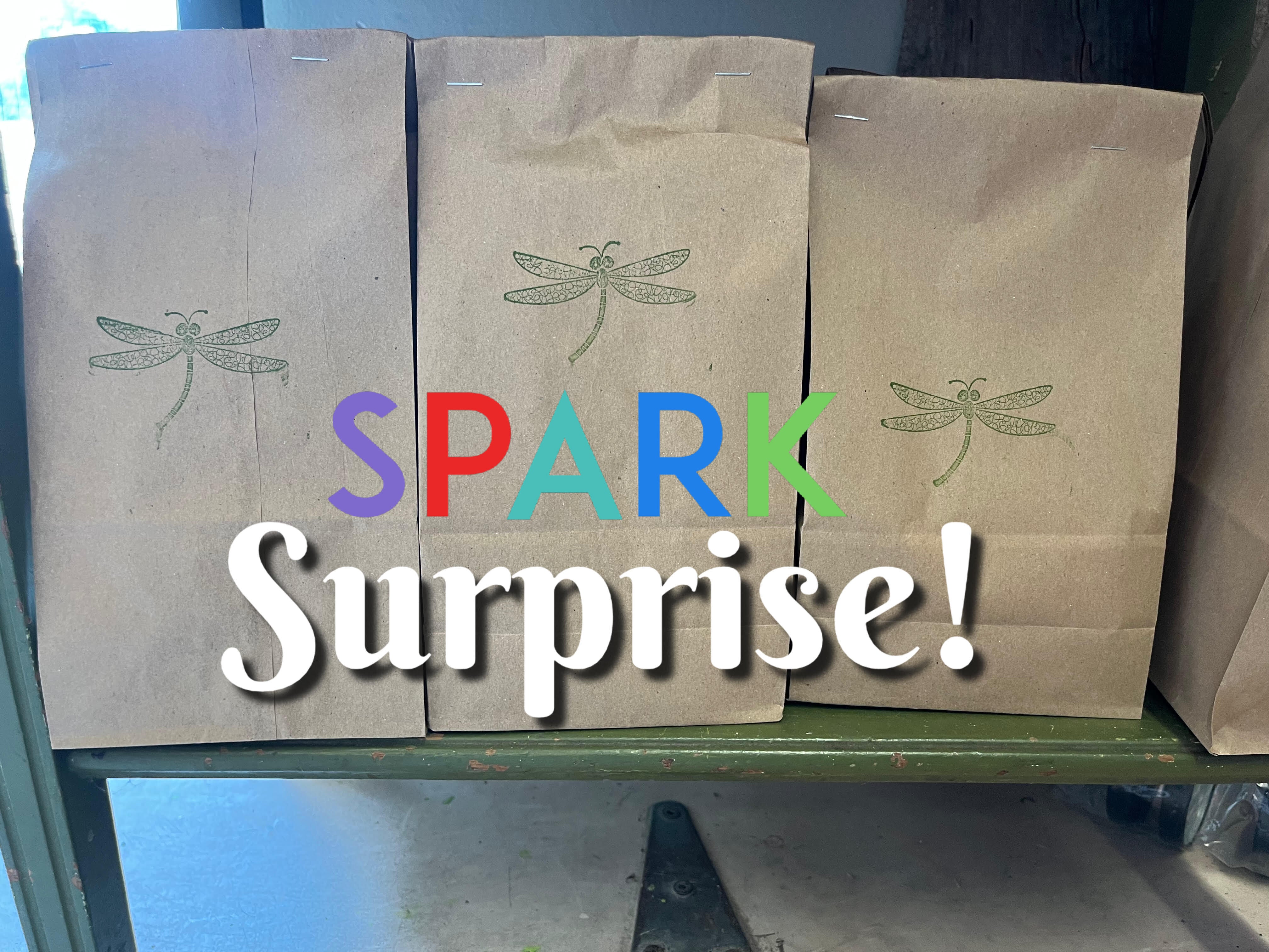 Surprise Bags