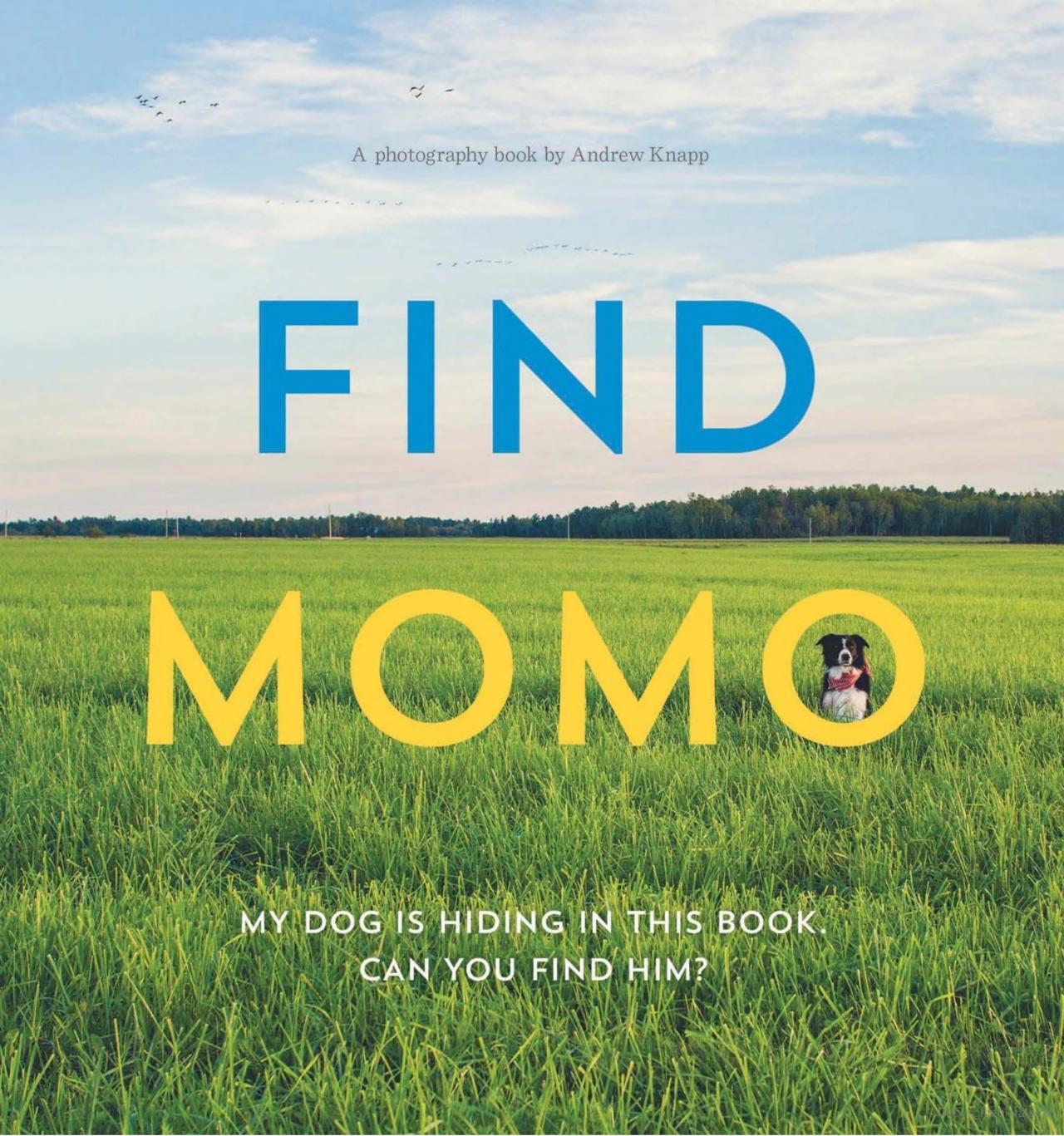 Andrew Knapp Find Momo