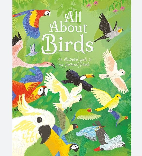 All About Birds