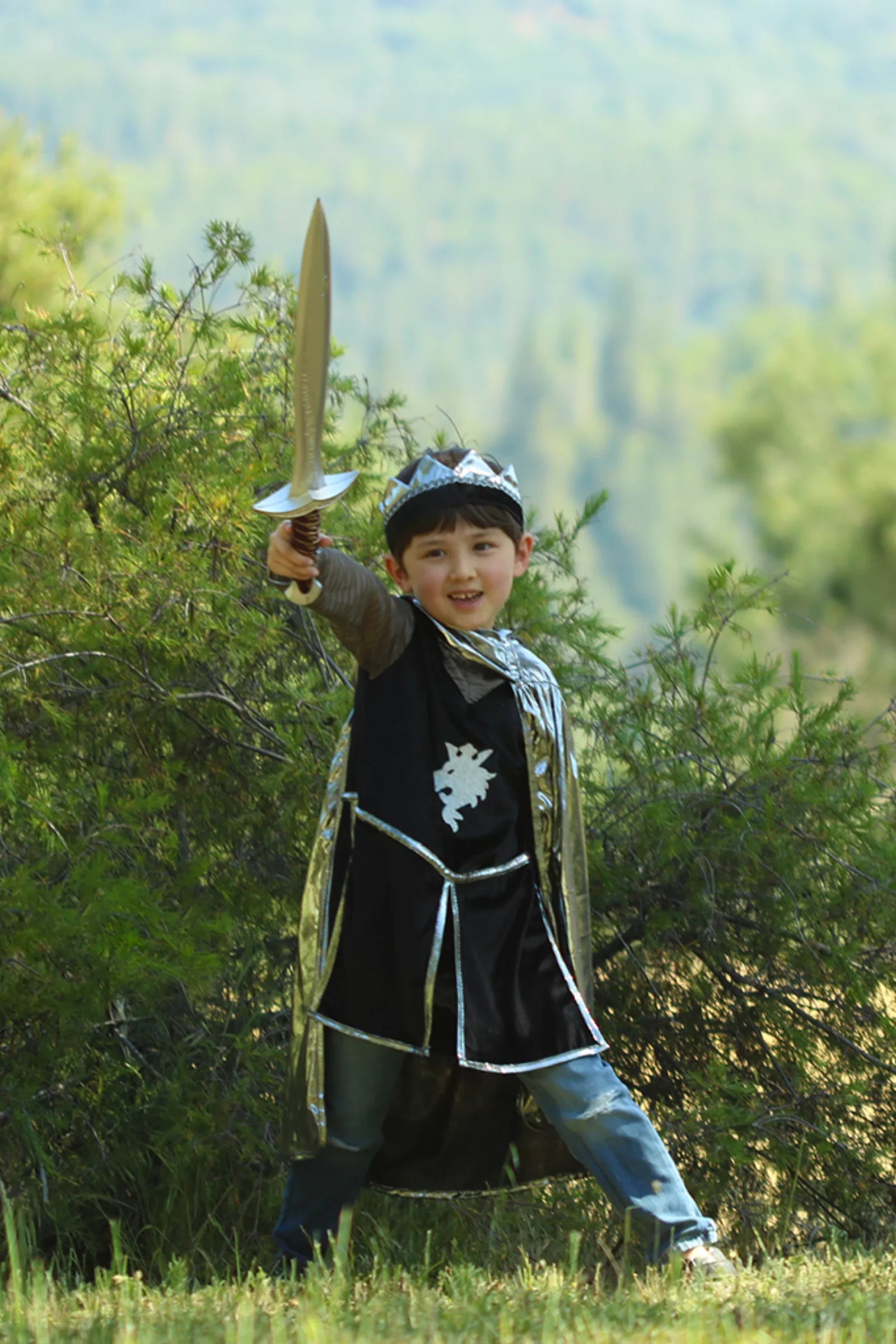 Great Pretenders Silver Knight With Tunic Cape & Crown 5-6 Years