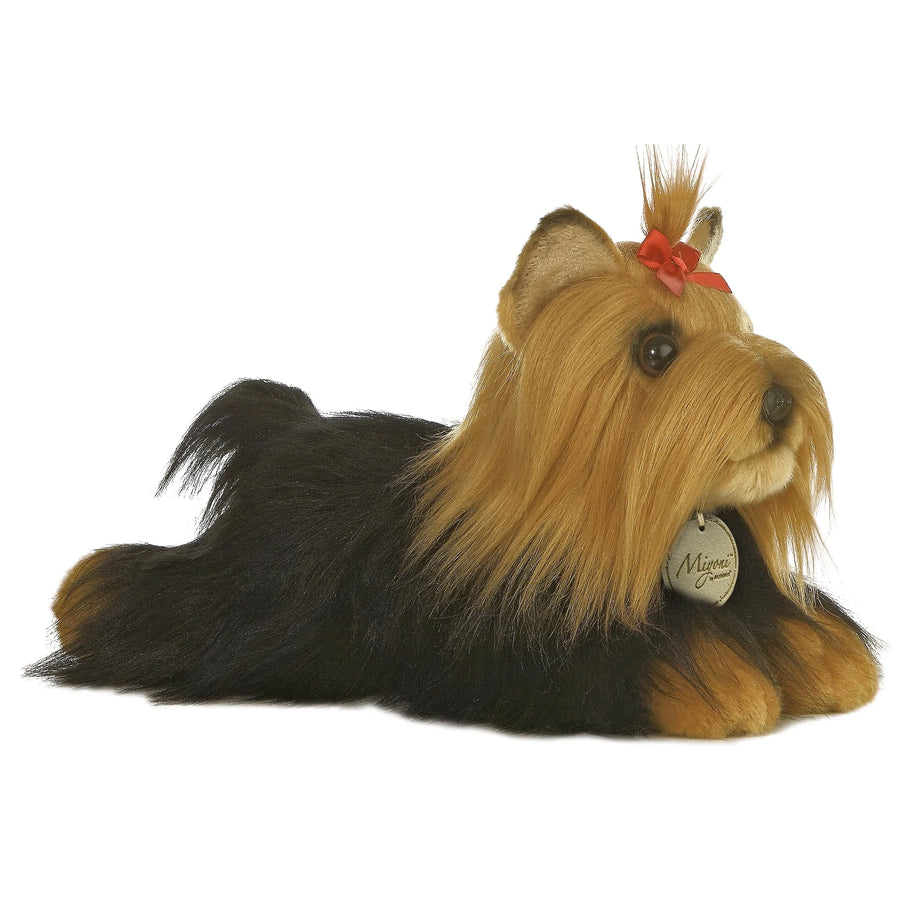 Miyoni Yorkshire Terrier