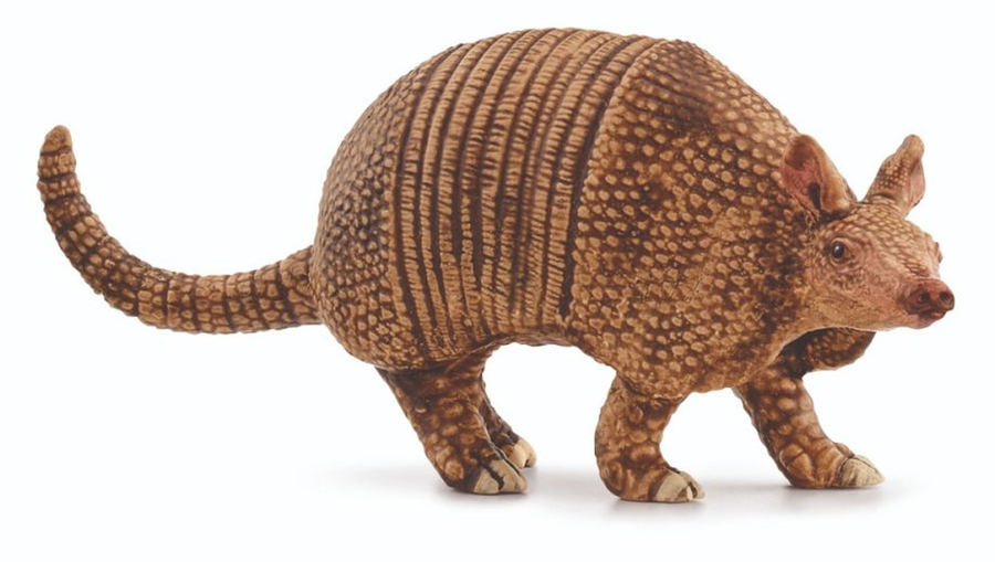 Schleich Wild Life Armadillo