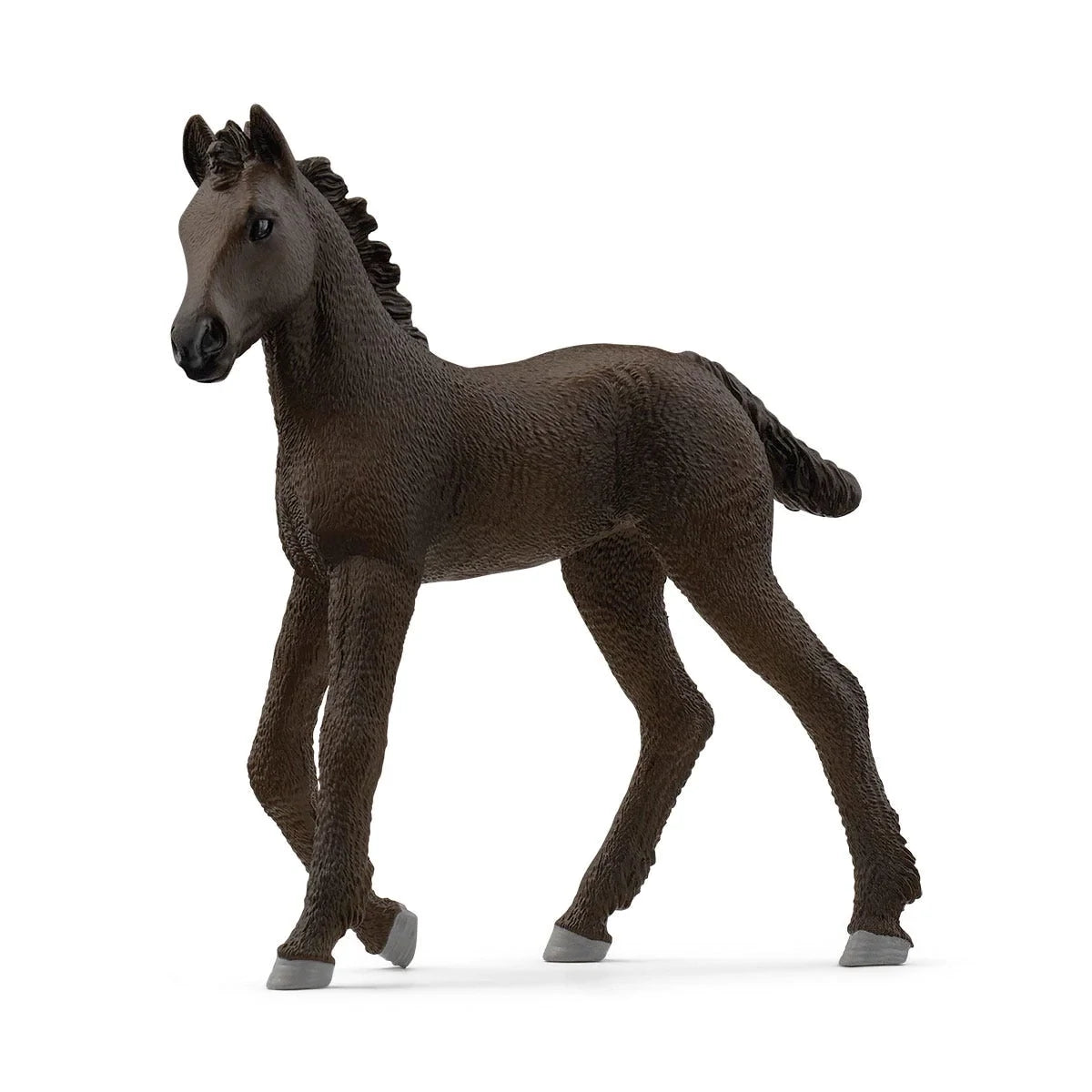 Scheich Horse Club Friesian Foal