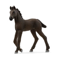 Scheich Horse Club Friesian Foal