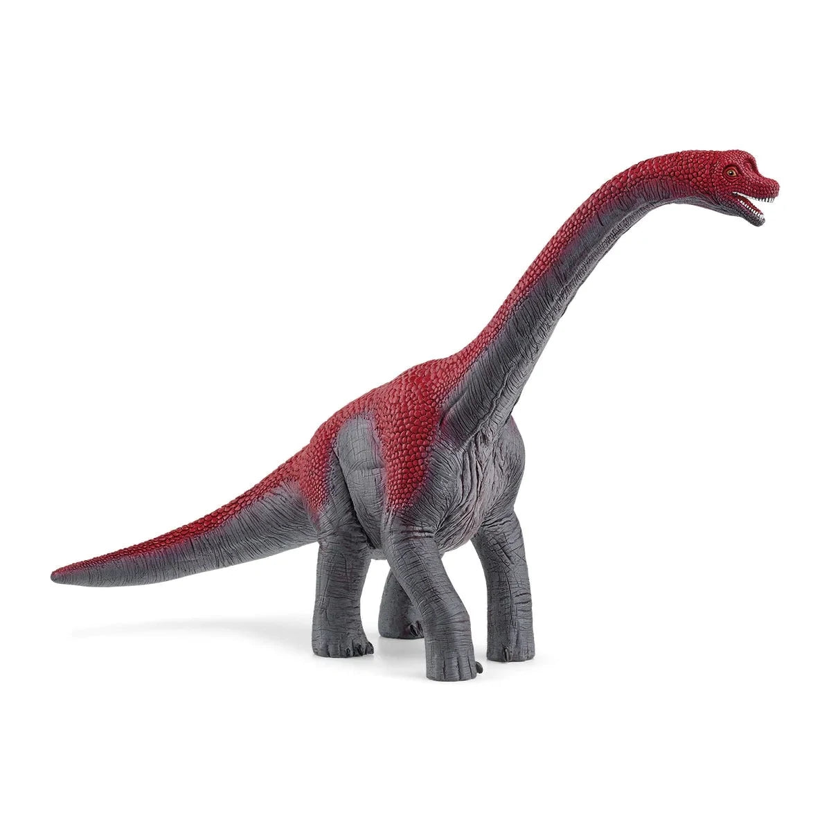 Schleich Dinosaurs Brachiosaurus