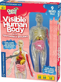 Thames & Kosmos Ooze Labs: Visual Human Body