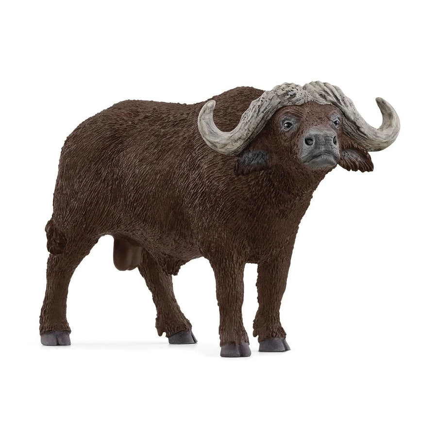 Schliech Wildlife African Buffalo