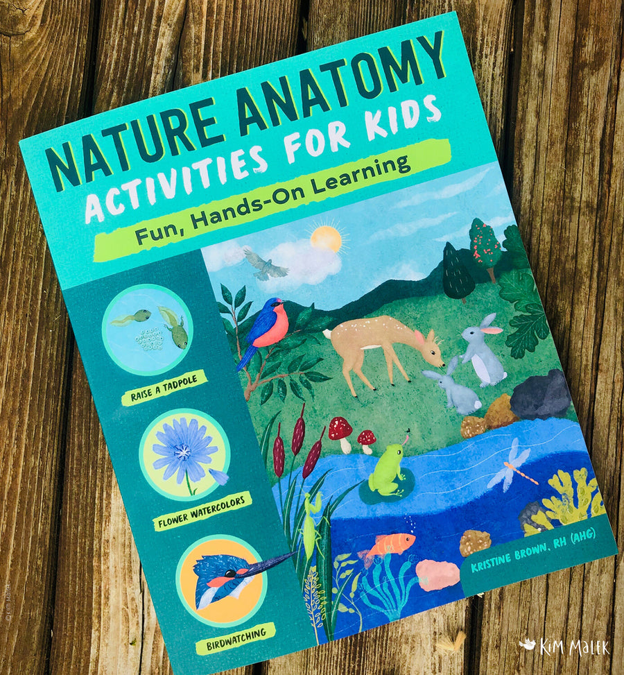 Nature Anatomy Acitvities for Kids