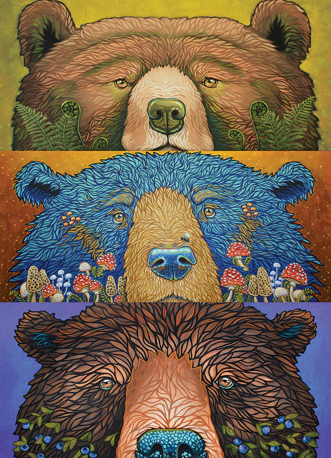 CobbleHill Bears Eyes Harvest 500 Piece