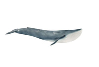 Schleich Wild Life Blue Whale 14806