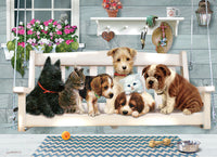 Cobblehill Porch Pals 350 Family Puzzles