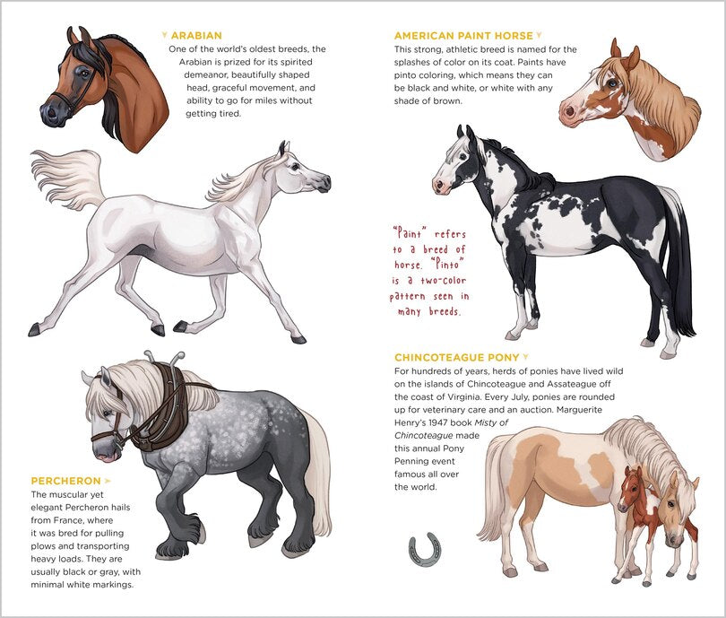 Tattoos That Teach Happy Herd of Horses & Ponies