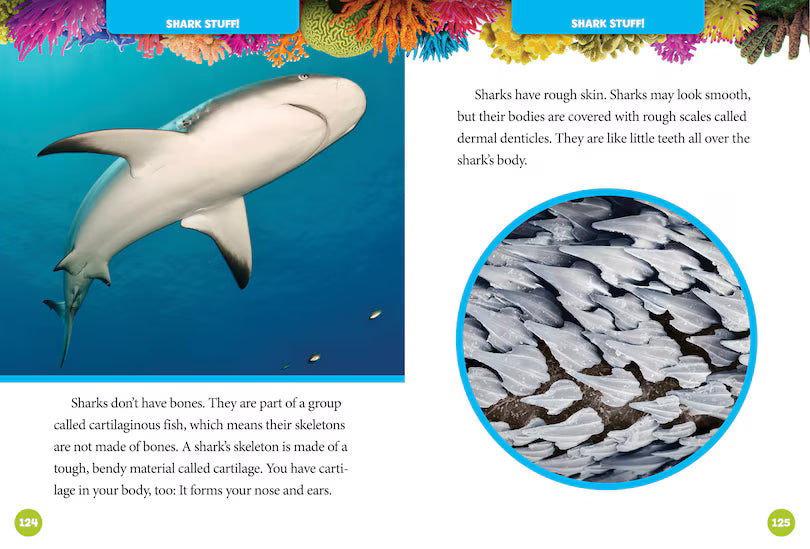 National Geographic 5 Minute Shark Stories