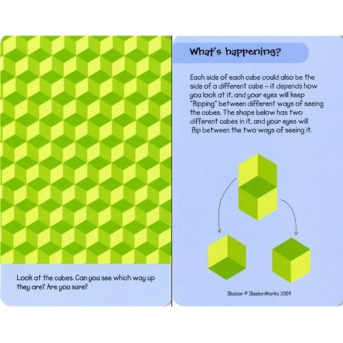 Usborne 50 Optical Illusions