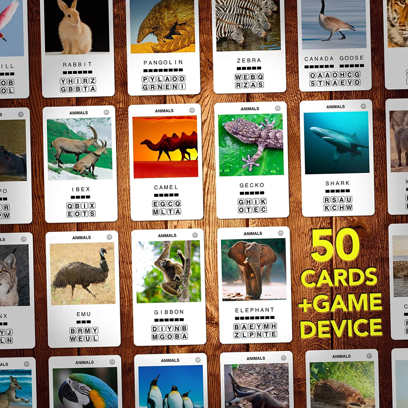 Asmdoee 100 Pics  Animals