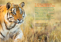Nic Bishop Big Cats