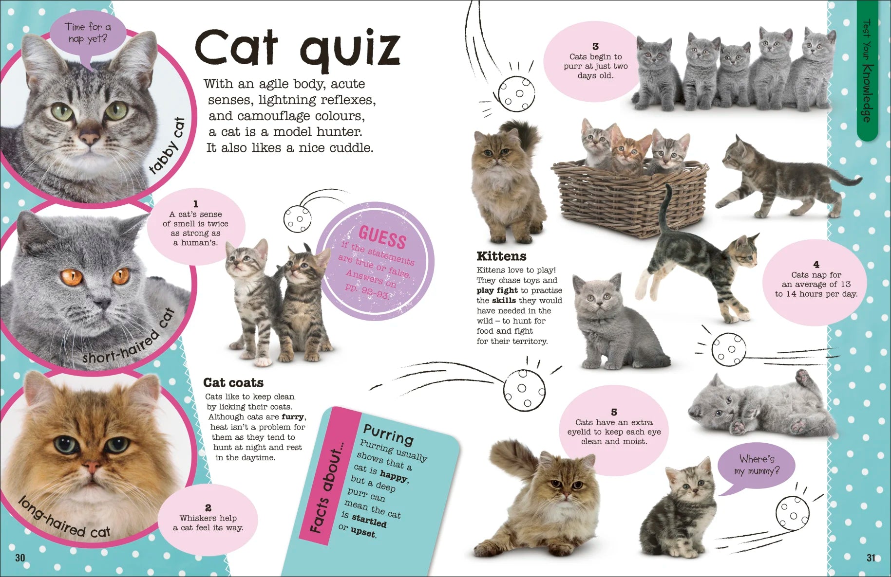 DK The Fact Packed Activity Book Animals