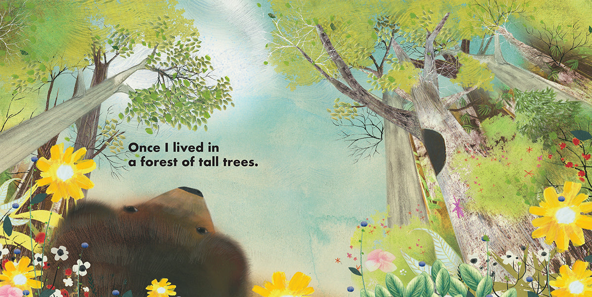 Once I was a Bear