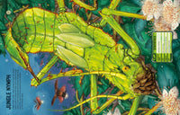 Usborne Build Your Own Giant Bugs Sticker Book