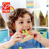 Hape Rainbow Pan Pipe