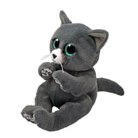 TY Beanie Bellies Binx