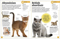 DK My Book of Cats and Kittens