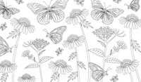 Holly Macdonald Joy of Mindfulness Coloring