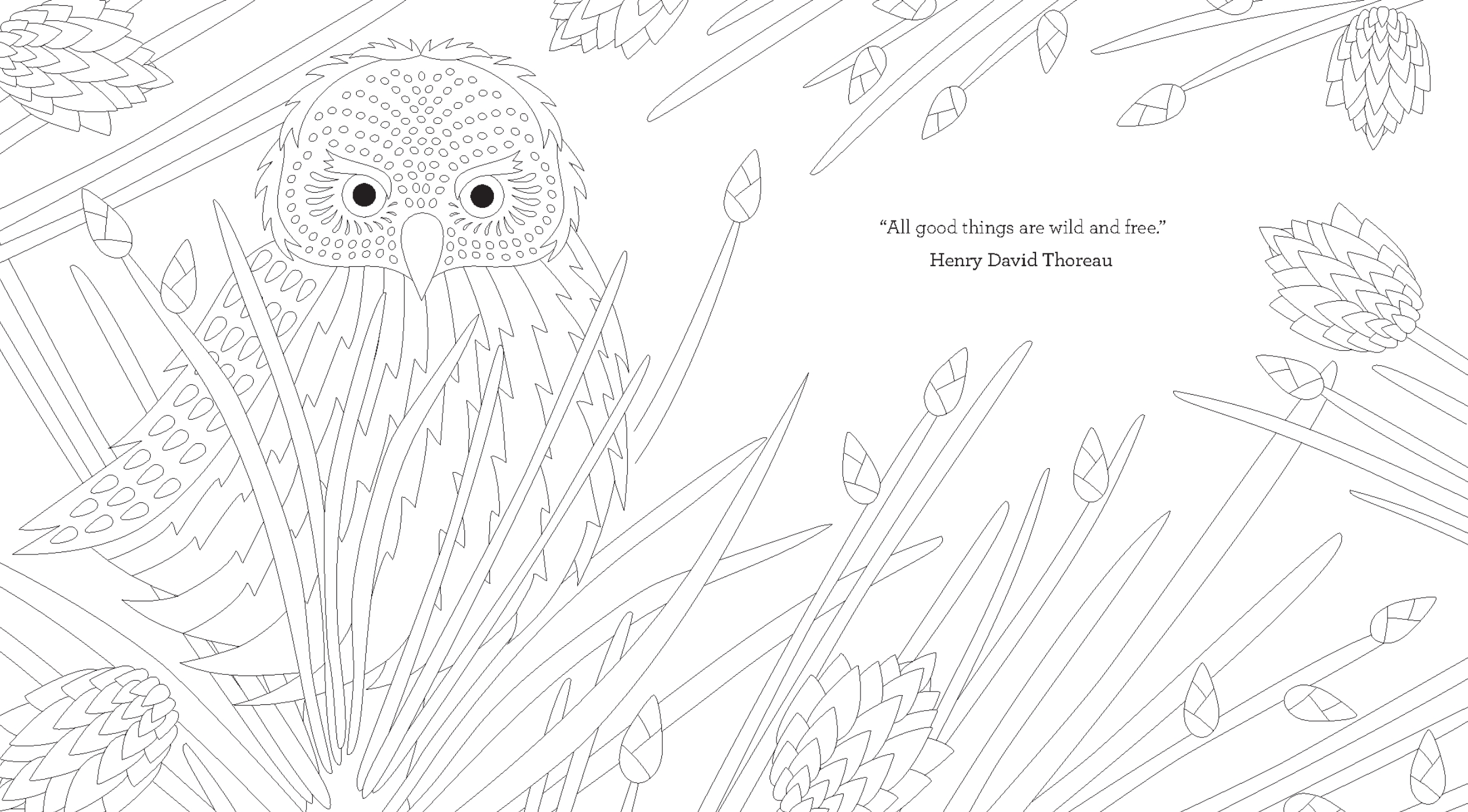 Holly Macdonald Joy of Mindfulness Coloring