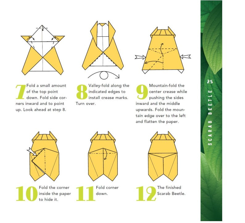 Tuttle Origami Bugs