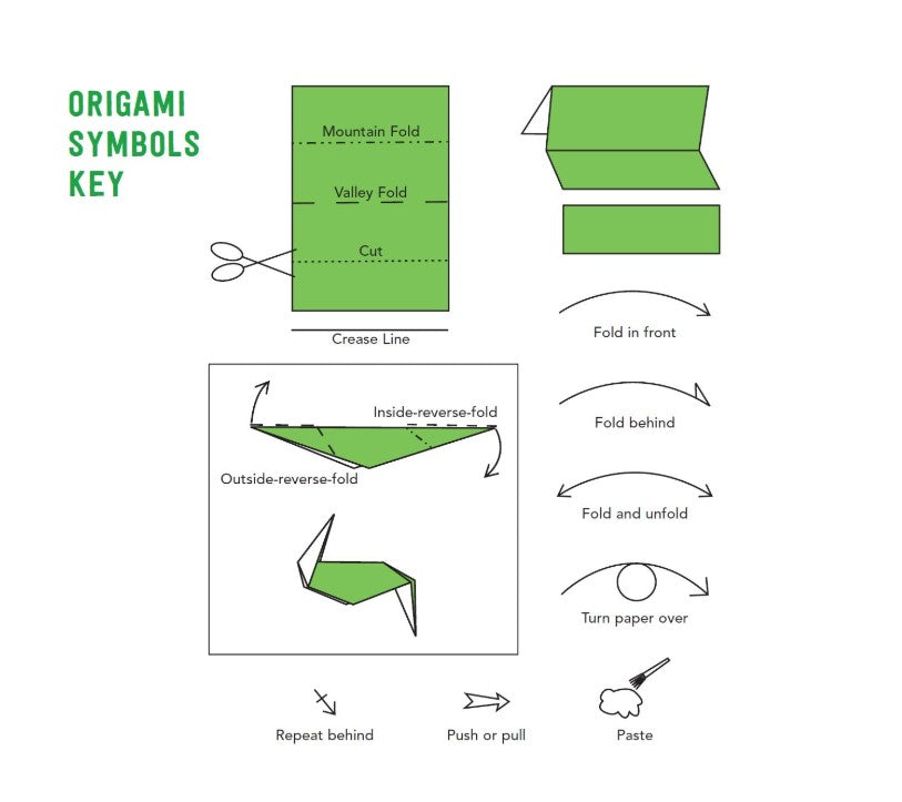 Tuttle Origami Bugs