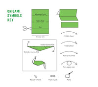 Tuttle Origami Bugs