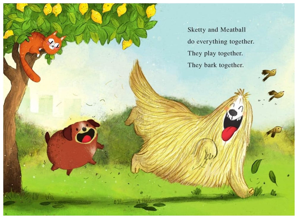 I Can Read: Level 1 Sketty And Meatball