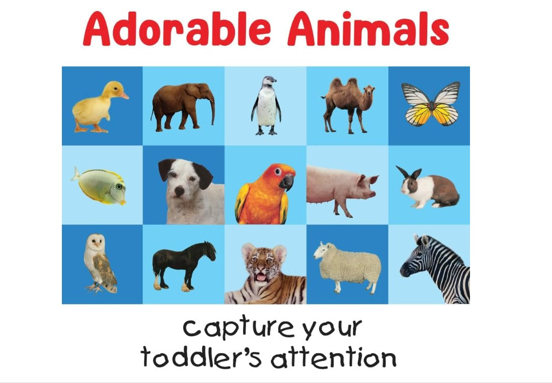 Briarpatch First 100 Animals Card Game