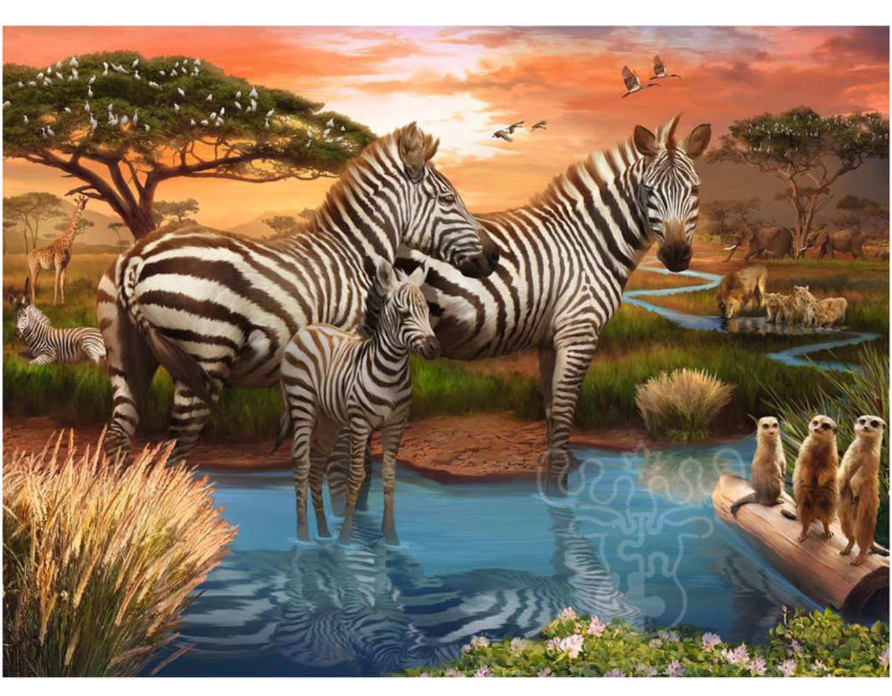 Ravensburger Zebra's At The Waterhole 500pc