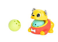 Lamaze Crawl and Chase Pug Popper