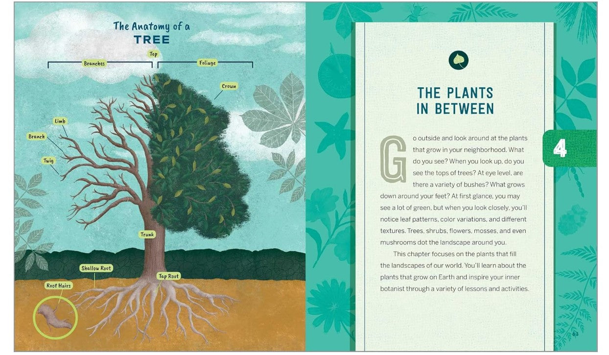 Nature Anatomy Activities for Kids